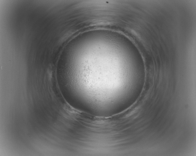 X0000068841257200605191916