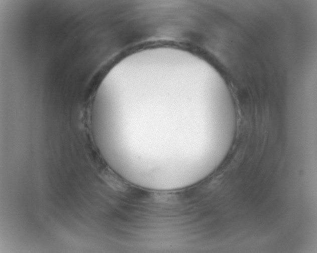 X0000068841258200605191916