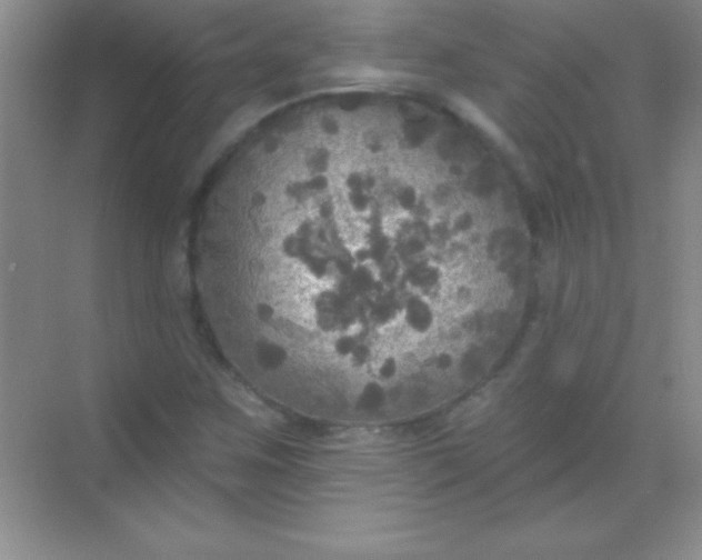 X0000068841259200605191916