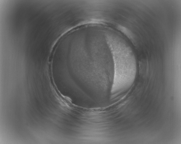 X0000068841260200605191916