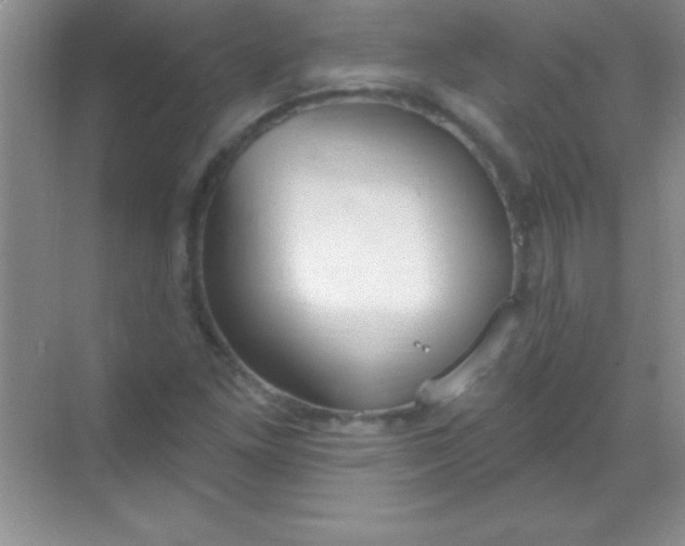 X0000068841261200605191916