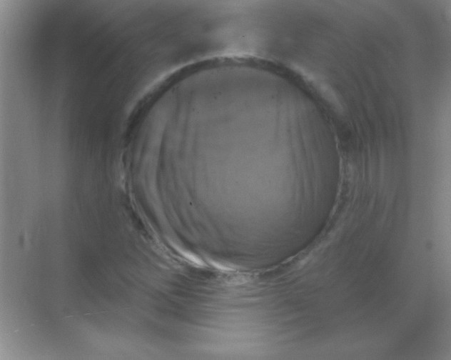 X0000068841262200605191916