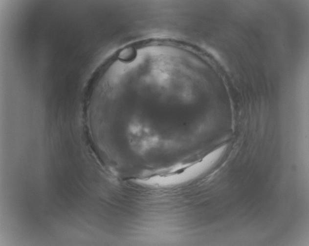 X0000068841263200605191916