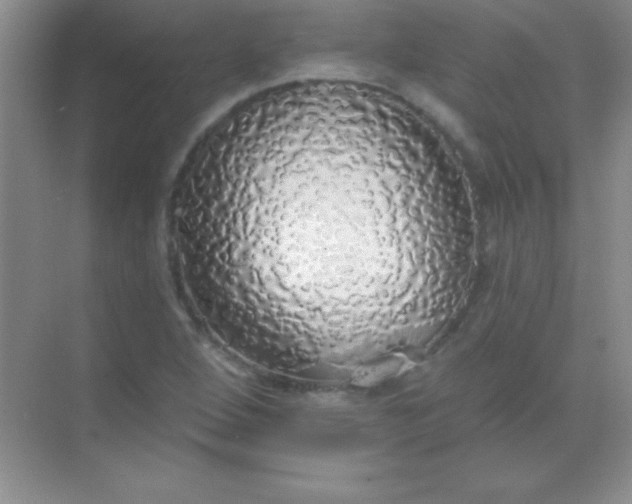 X0000068841264200605191916