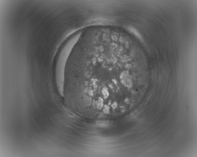 X0000068841267200605191916