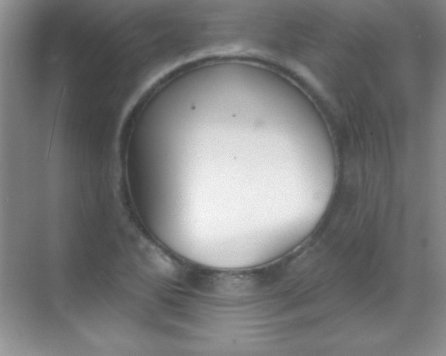 X0000068841270200605191916