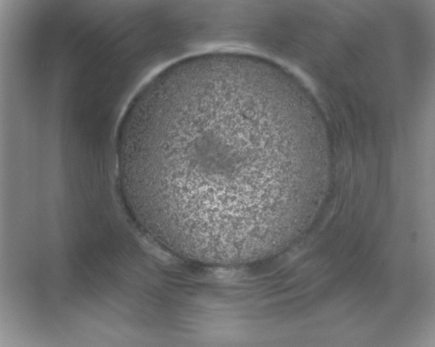 X0000068841271200605191916