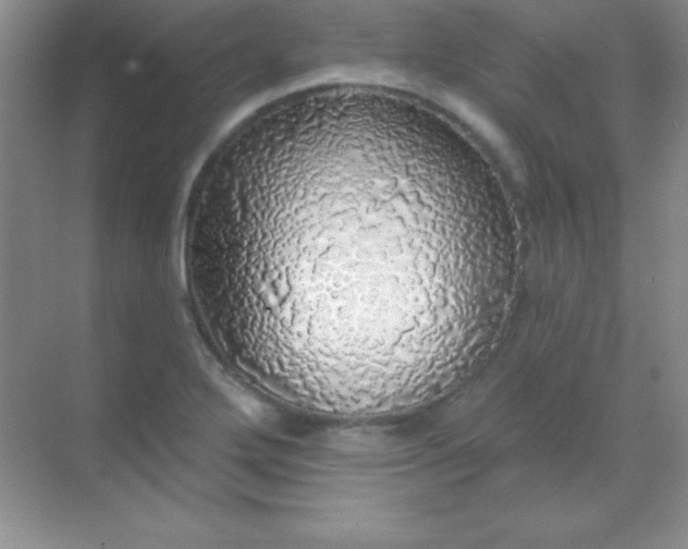 X0000068841272200605191916