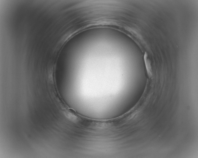 X0000068841273200605191916