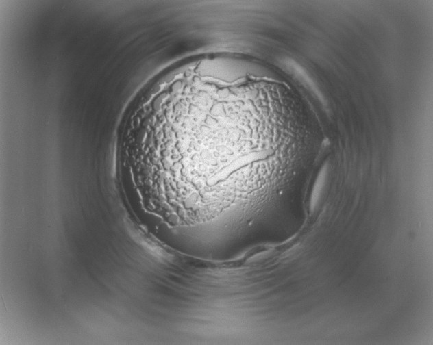 X0000068841276200605191916