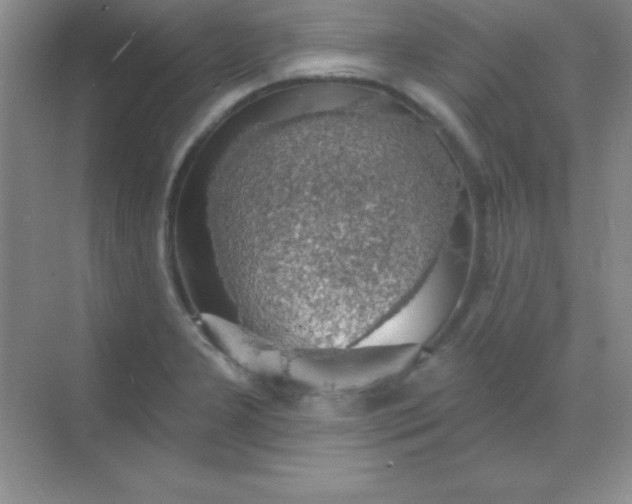 X0000068841277200605191916