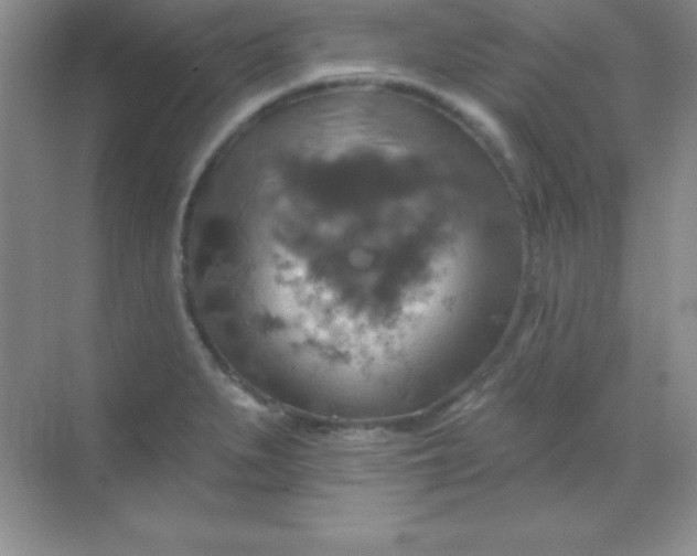 X0000068841279200605191916