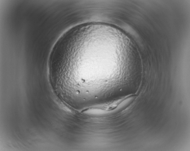 X0000068841280200605191916