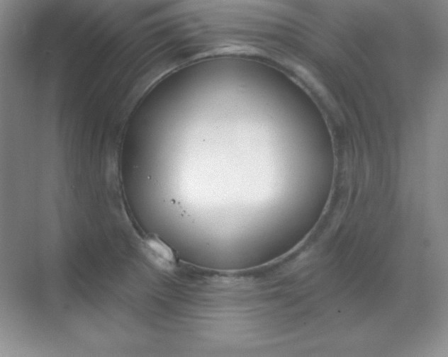 X0000068841281200605191916