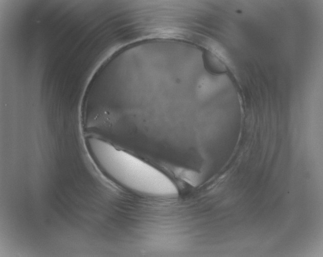 X0000068841283200605191916