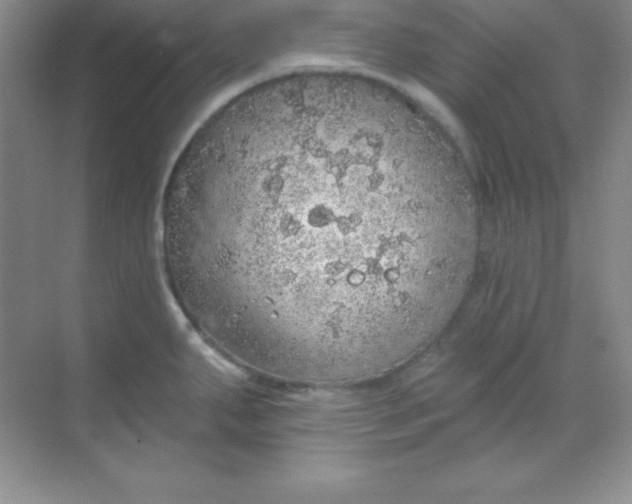 X0000068841287200605191916