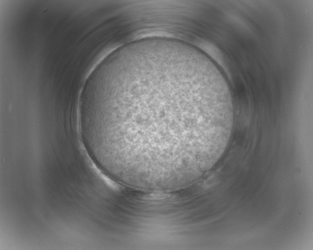 X0000068841290200605191916