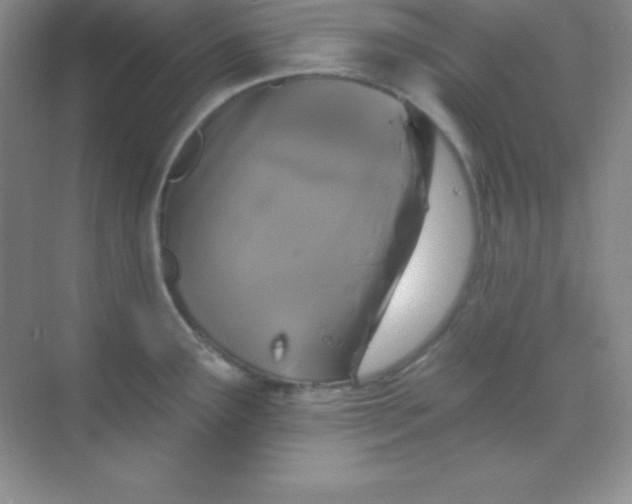 X0000068841291200605191916