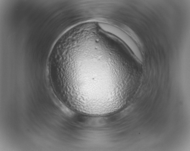 X0000068841292200605191916