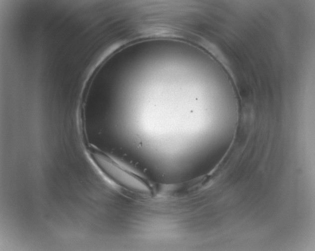 X0000068841293200605191916