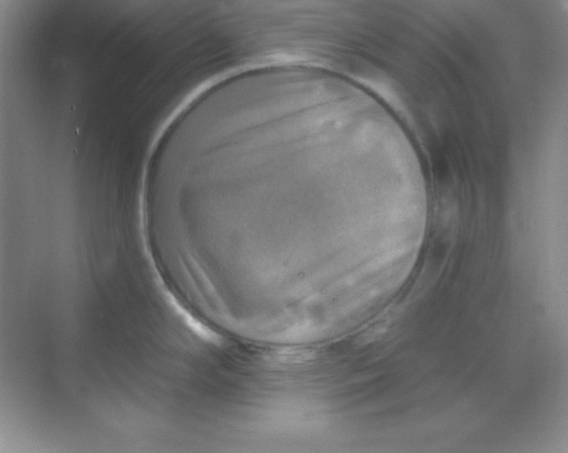 X0000068841294200605191916