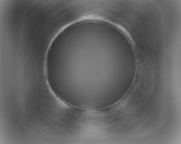 X0000068841295200605191916