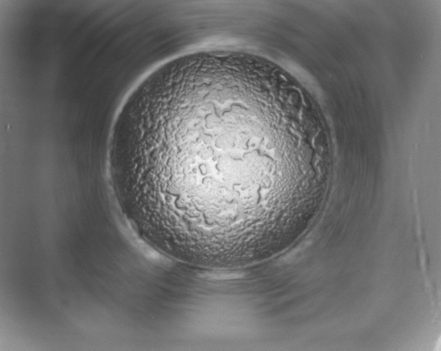 X0000068841296200605191916