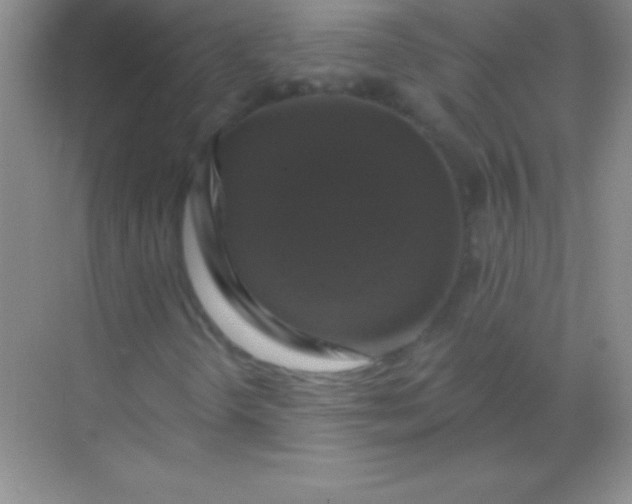 X0000068841298200605191915