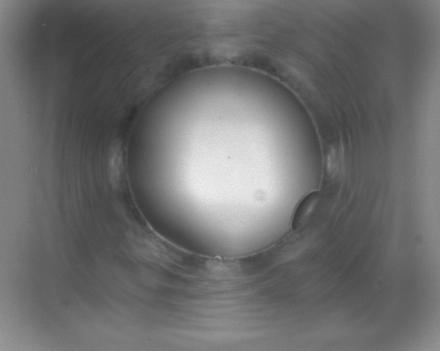 X0000068841299200605191915