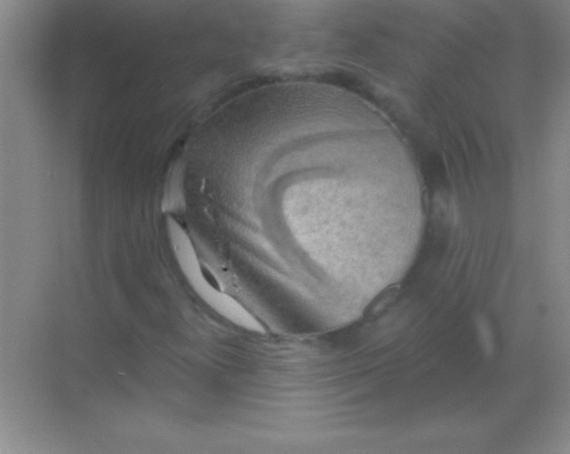 X0000068841300200605191915