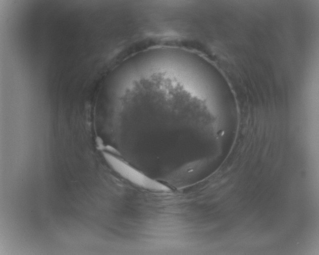 X0000068841301200605191915