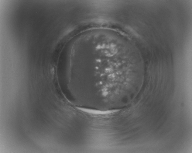 X0000068841302200605191915