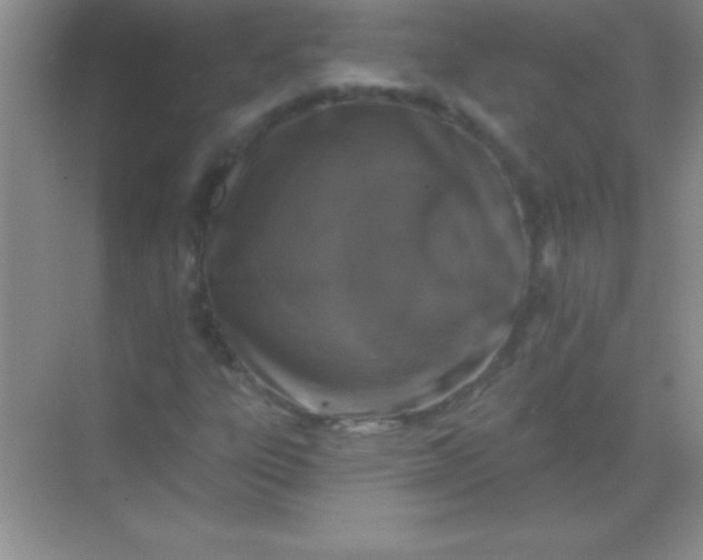 X0000068841303200605191915