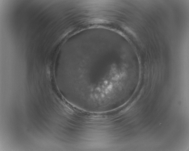 X0000068841305200605191915