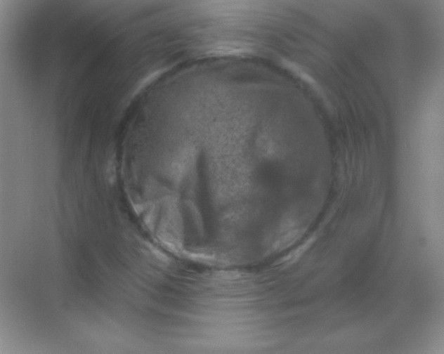 X0000068841306200605191915