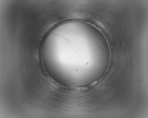 X0000068841307200605191915