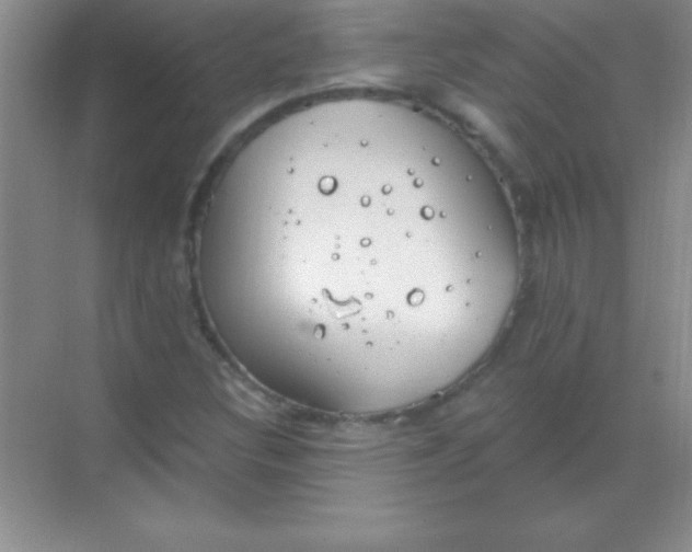 X0000068841308200605191915