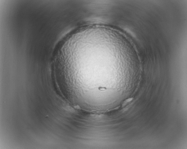 X0000068841309200605191915