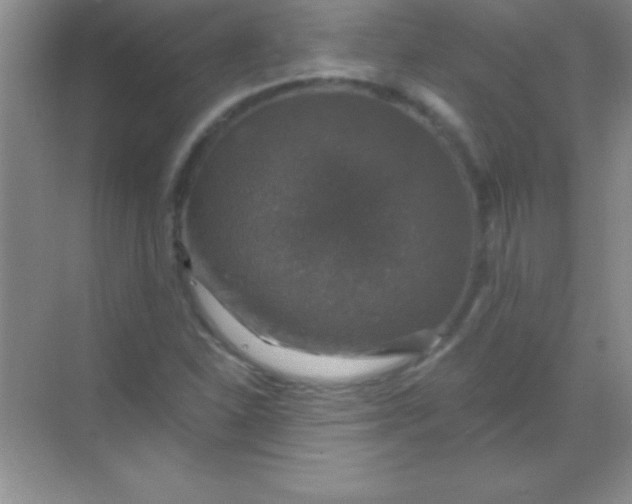 X0000068841310200605191915