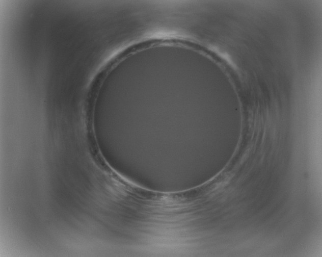 X0000068841311200605191915