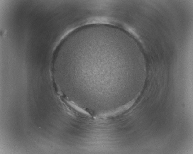 X0000068841312200605191915