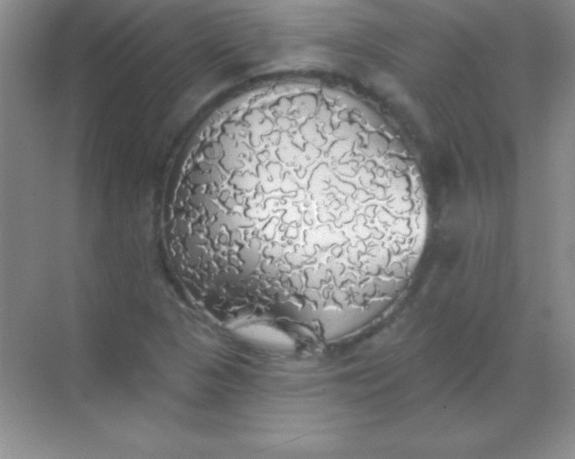 X0000068841313200605191915