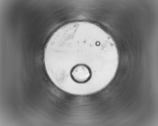 X0000068841314200605191915