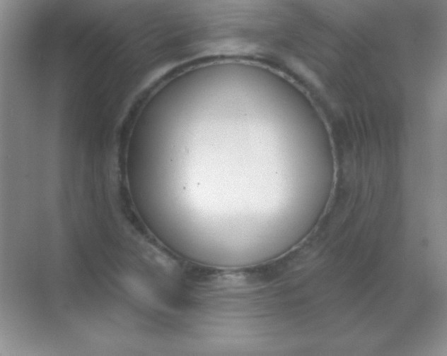 X0000068841315200605191915