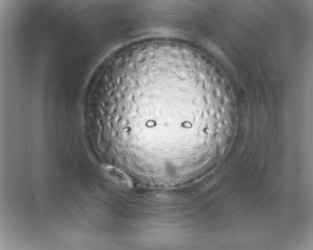 X0000068841318200605191915