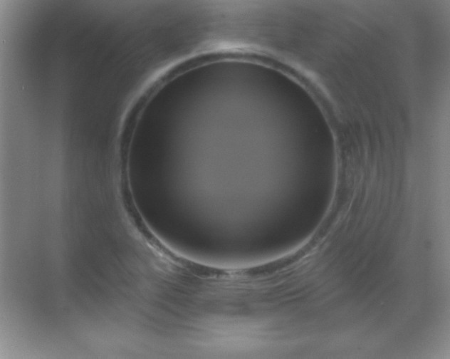 X0000068841319200605191915