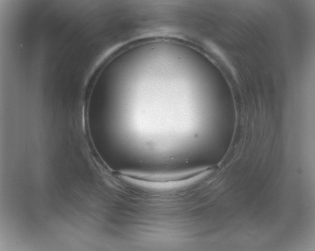 X0000068841320200605191915