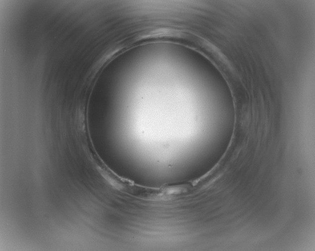 X0000068841321200605191915