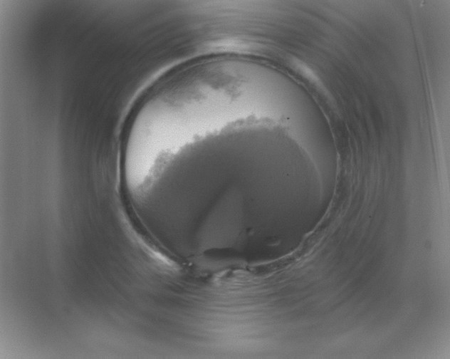 X0000068841323200605191915