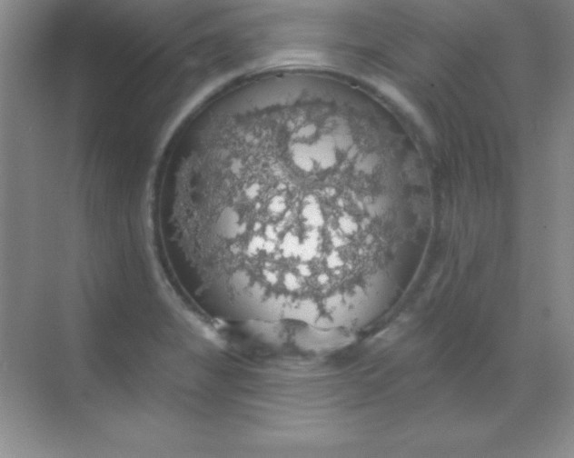 X0000068841325200605191915